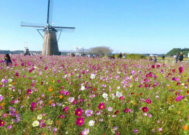 日本成田机场周边旅游,日本成田机场有什么好玩的
