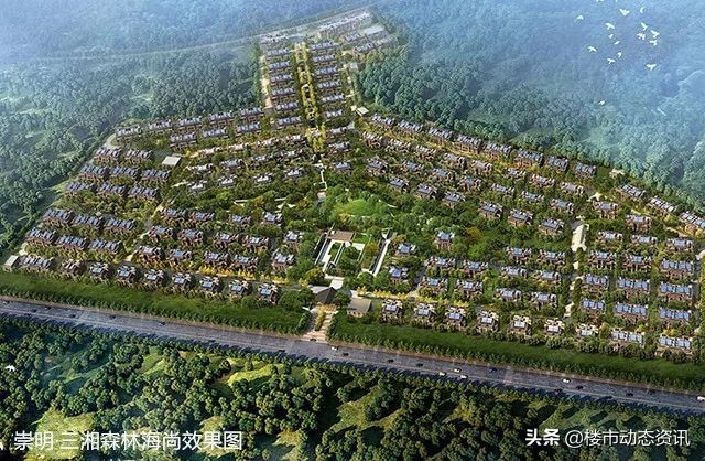 崇明三湘森林海尚联排户型,崇明三湘森林