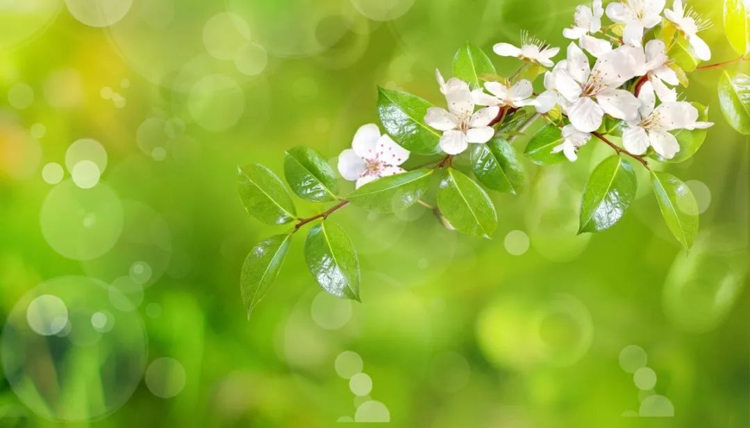 中药调理湿疹一般多久能痊愈,一味中药治湿疹视频