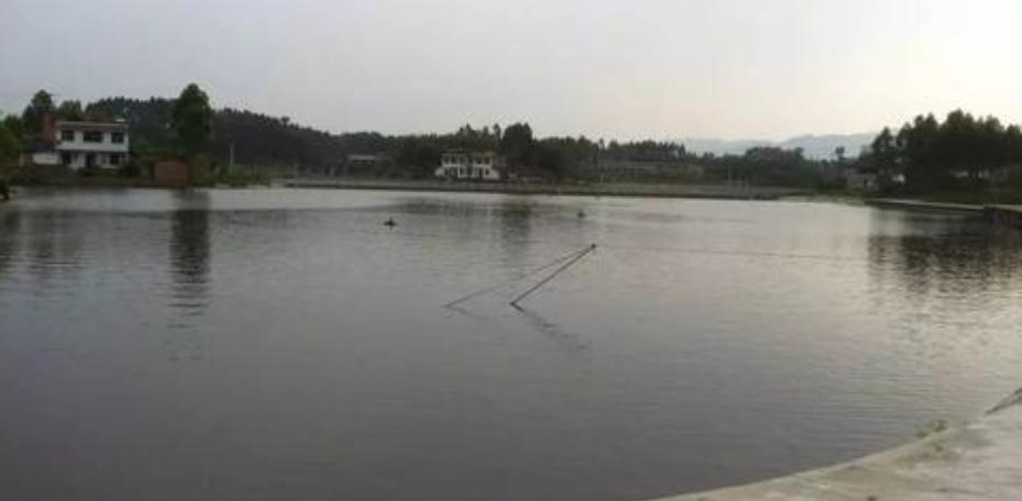 有什么好方法治孢子虫,孢子虫怎么防治