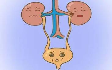 女人突然尿频尿痛尿血,突然尿血尿频尿疼是怎么回事