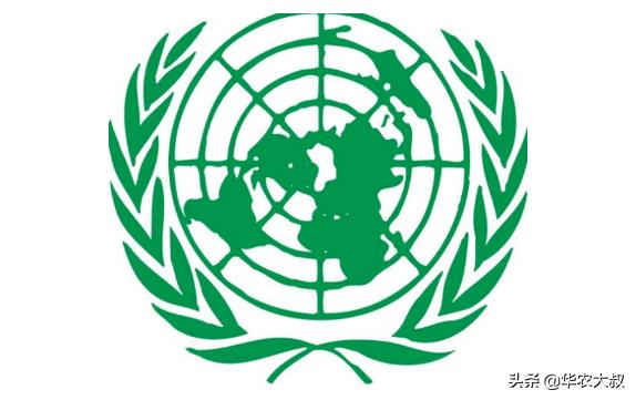 小叶油橄榄与大叶油橄榄的区别,橄榄油的橄榄跟普通橄榄区别