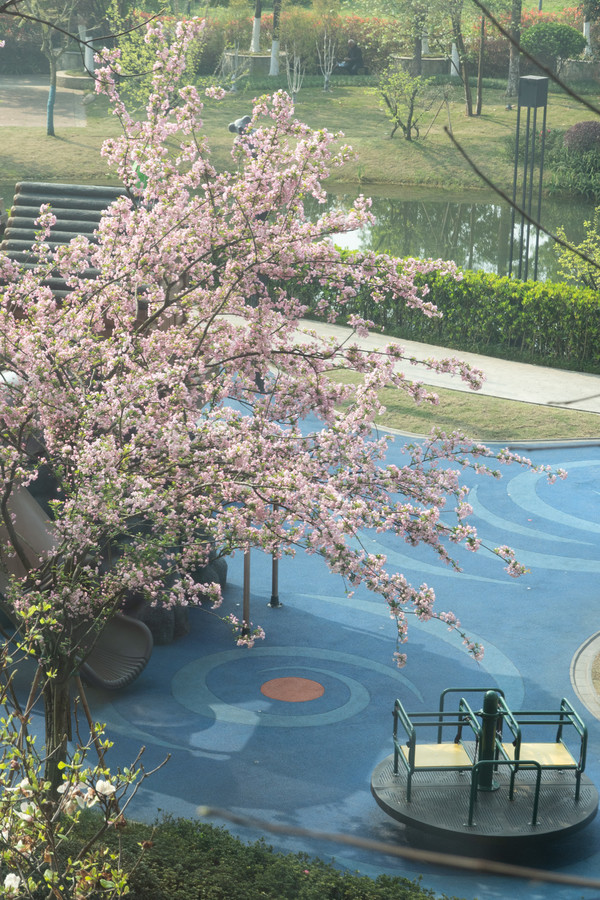 峨眉山艾美温泉酒店,峨眉山市艾美酒店效果图