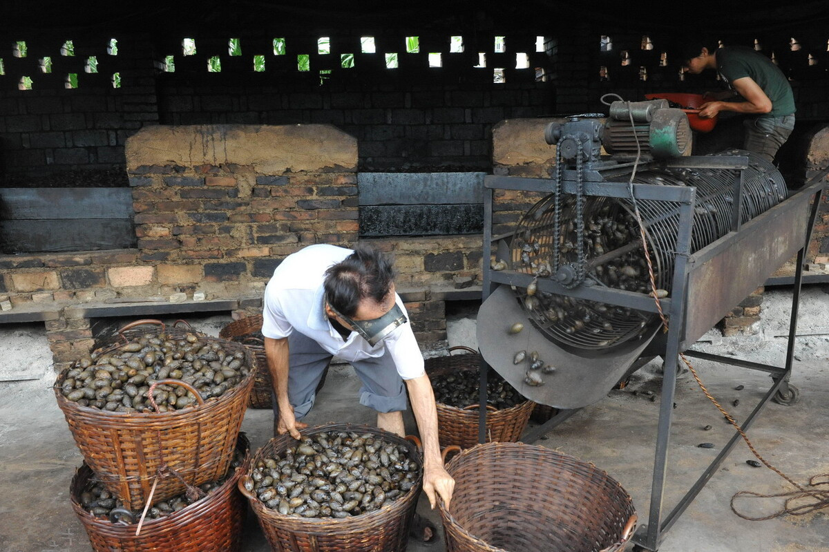 槟榔真的是软性毒品吗,软性毒品槟榔的危害有哪些