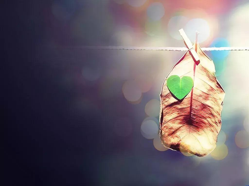 瀛欐涔夎瀺璧勭摐瀛愪簩鎵嬭溅,瀛欐涔夋姇璧勭摐瀛愪簩鎵嬭溅