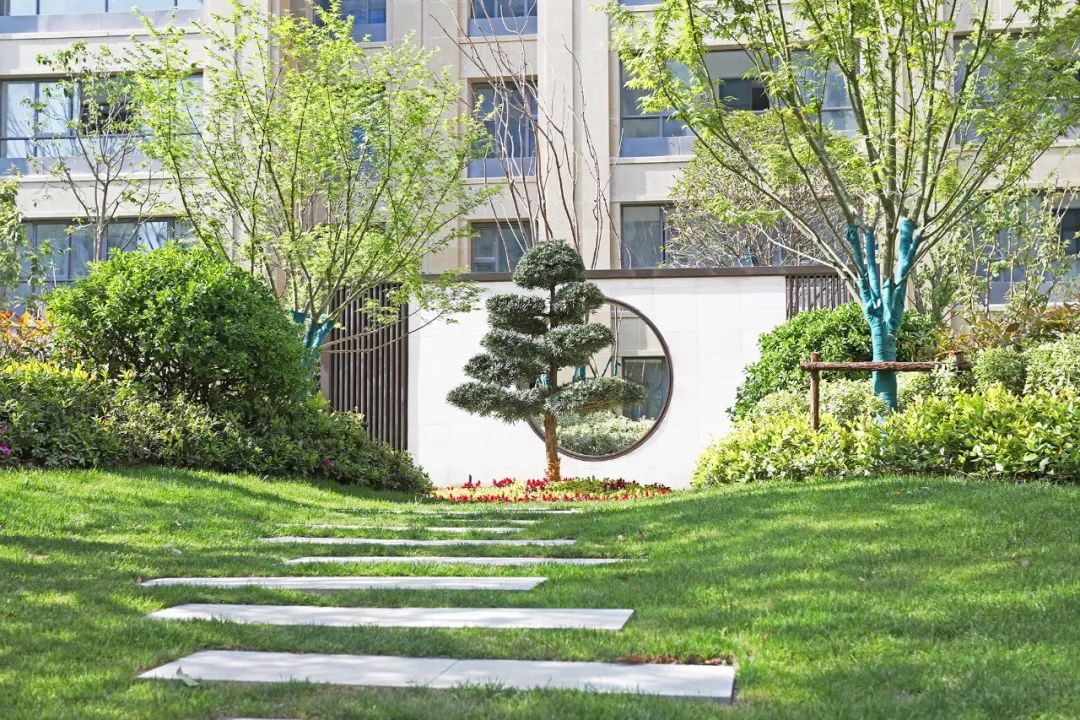 滨湖网红大平层,滨湖新区新盘