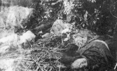 “东北二王”覆灭记：兄弟二人全国流窜，残害20余人