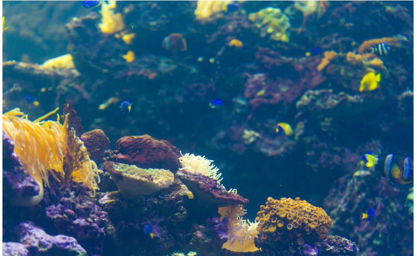 曾教授的六爻怎么起卦,曾氏易经讲解视频全集