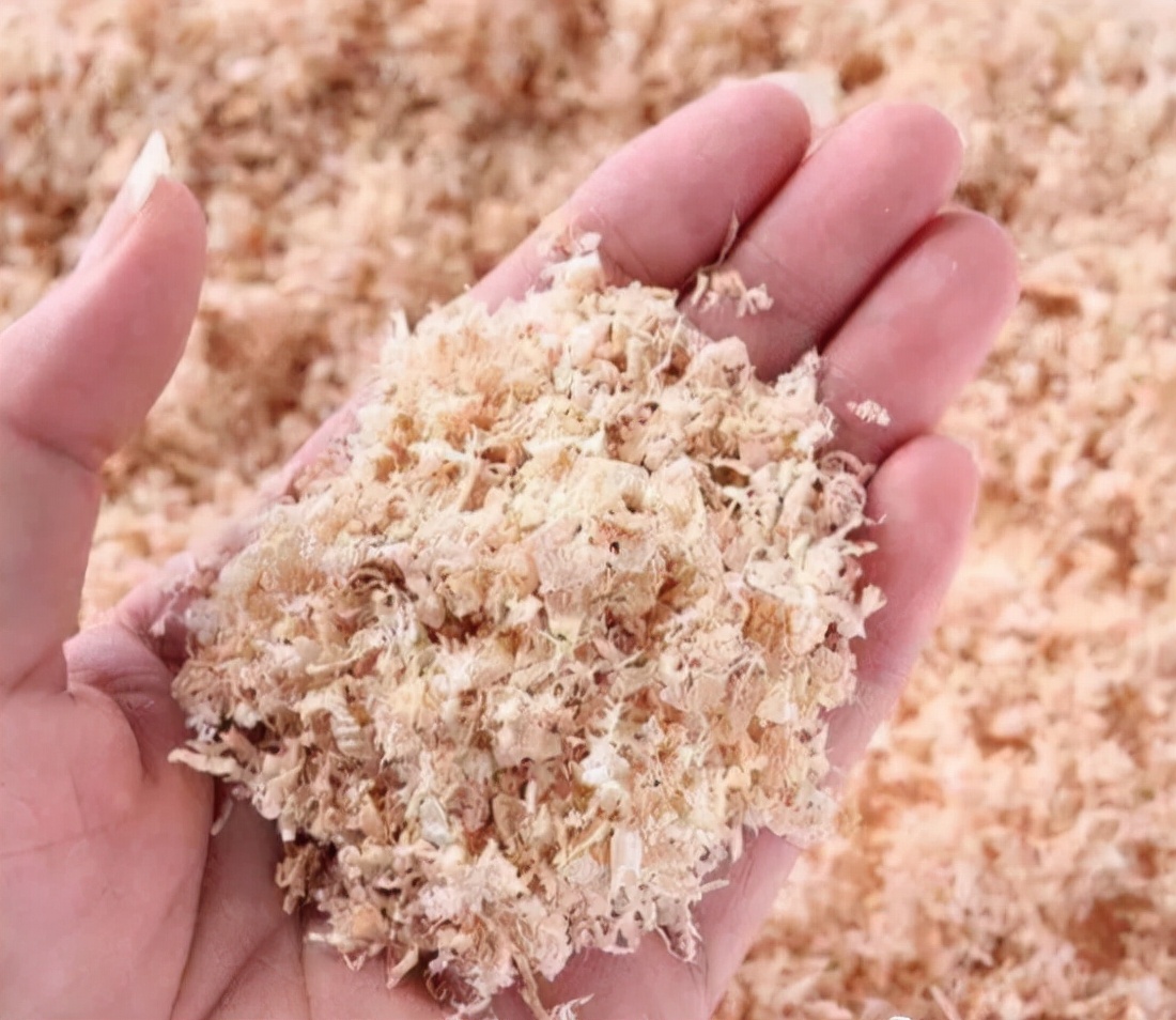 盆栽植物怎么浇水土不流失,盆栽里的土有点板结