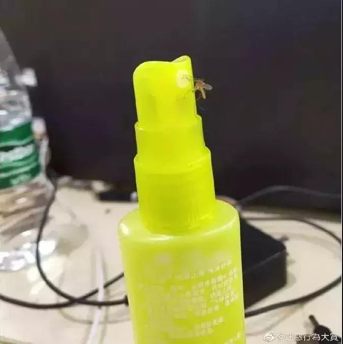 别用蚊香教你一个新方法,夏天怎样用蚊香驱蚊最有效