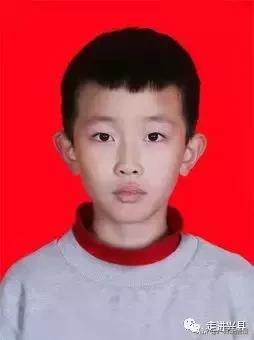 校园小记者的作文,小记者作文大赛优秀作文