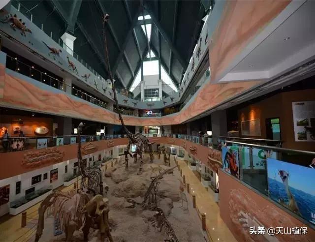 昌吉市最新城市发展规划,乌鲁木齐和昌吉是否相邻