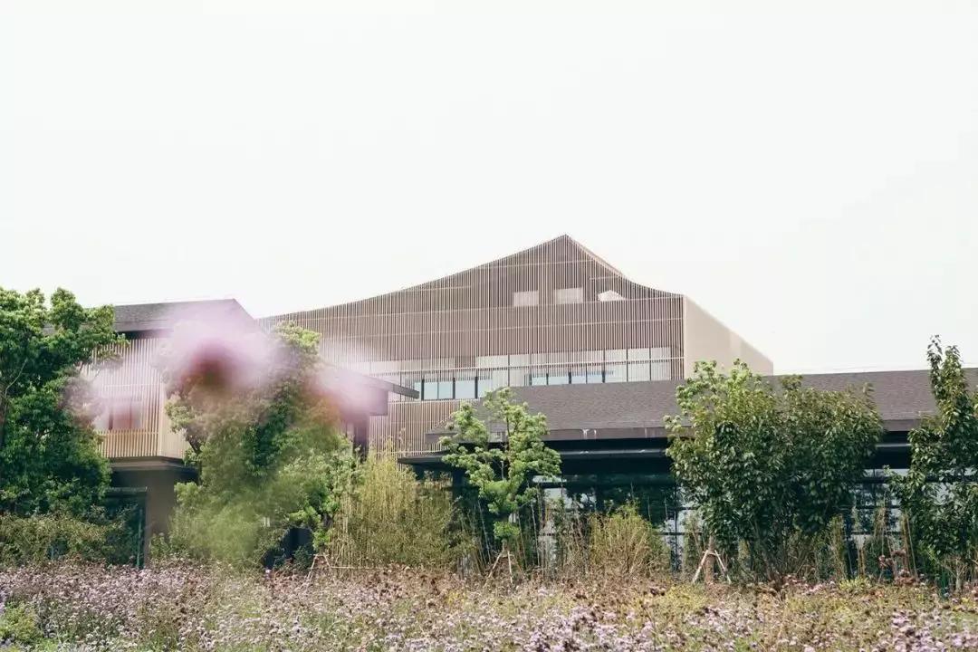 迎春路附近民宿,上海周边民宿过年