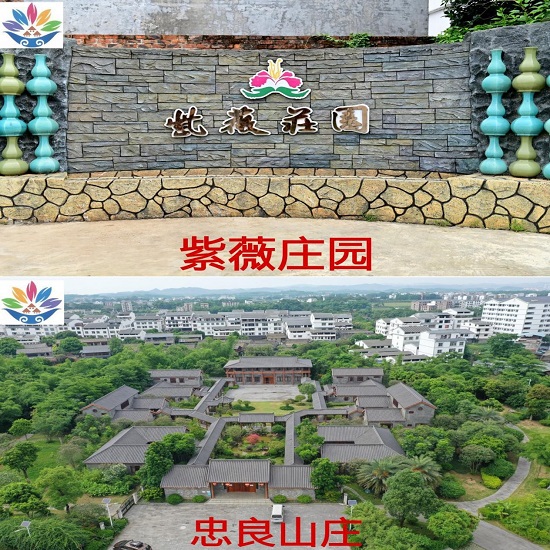 知识产权—版权资产“美丽南方”即将鸣锣上市