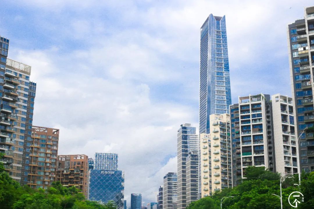 测评深圳湾,我直接被房租劝退