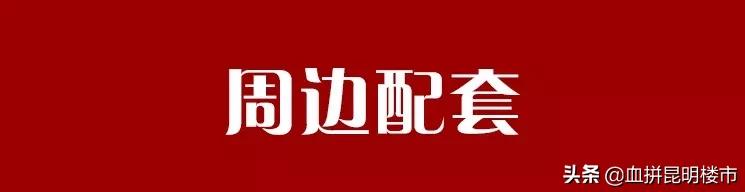 有学校的楼盘郑州,有学校有地铁的公寓值得买吗