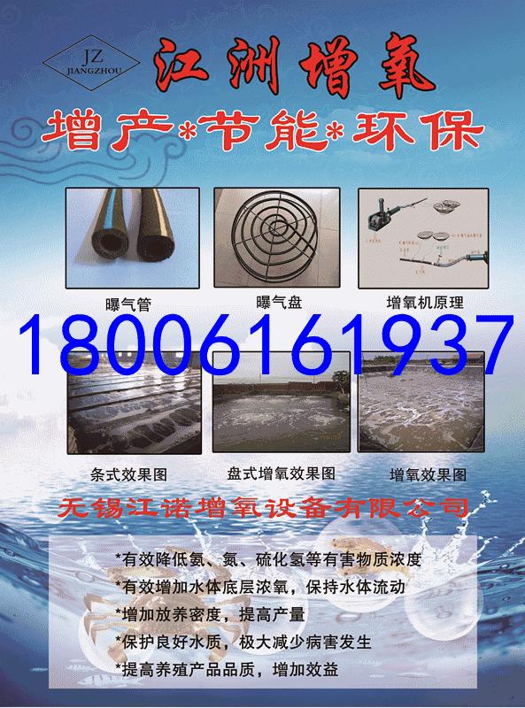 甲鱼红底病的防治方法,甲鱼红脖子病怎么治疗