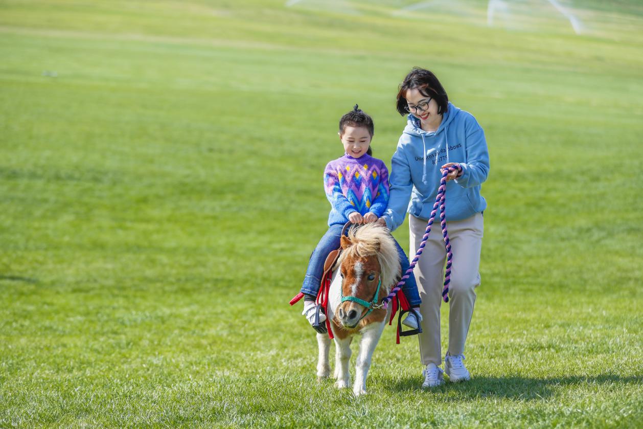 大连春节亲子游推荐,大连亲子游民宿推荐