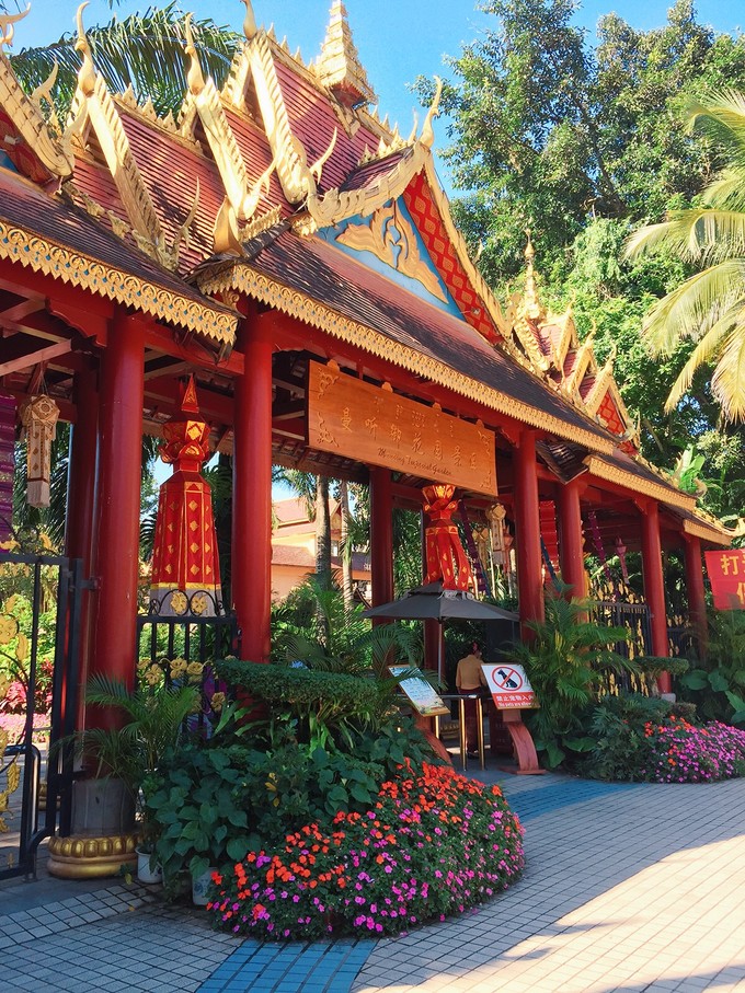 西双版纳三天两夜吃住行,云南西双版纳旅游景点攻略自由行