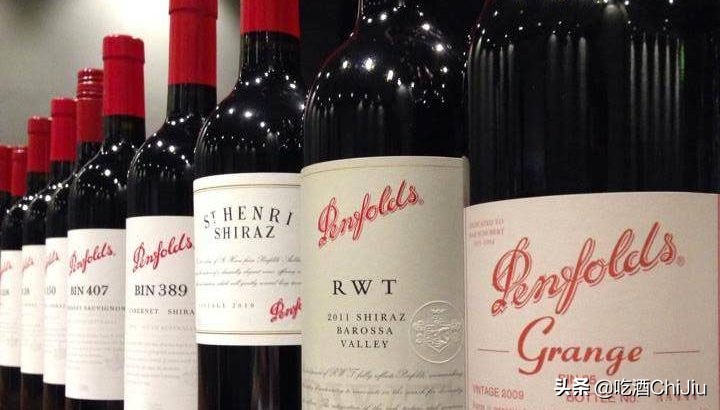 奔富红酒发展前景,奔富红酒属于什么系列的