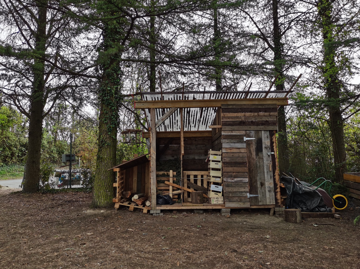 瑞士小朋友的秘密世界原来在这里，学会爱，从孩子的自然教育开始