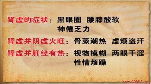 黄帝内经如何补肾,黄帝内经的养肾方法