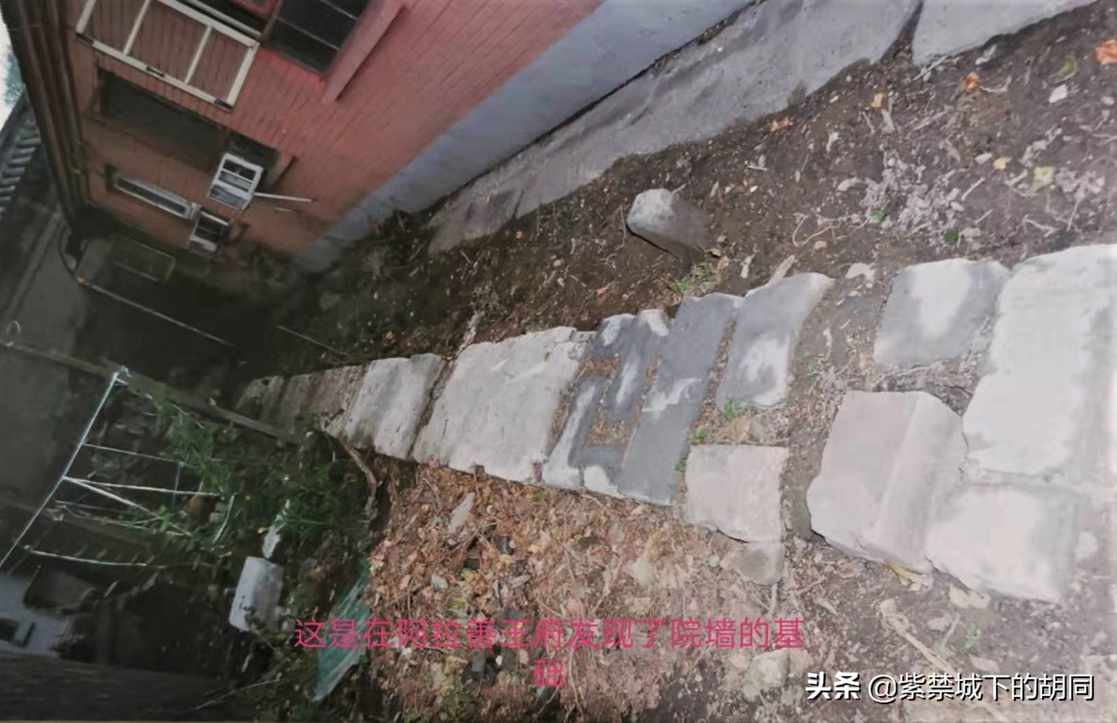 一篇*今条头日**文章，惊喜见到阿拉善王府的“格格”