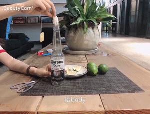 垃圾分类后垃圾放哪里,科罗娜为什么加柠檬比较好喝