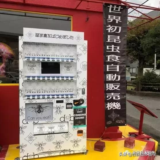日本昆虫拉面自助售卖机,日本活体昆虫自助售卖机
