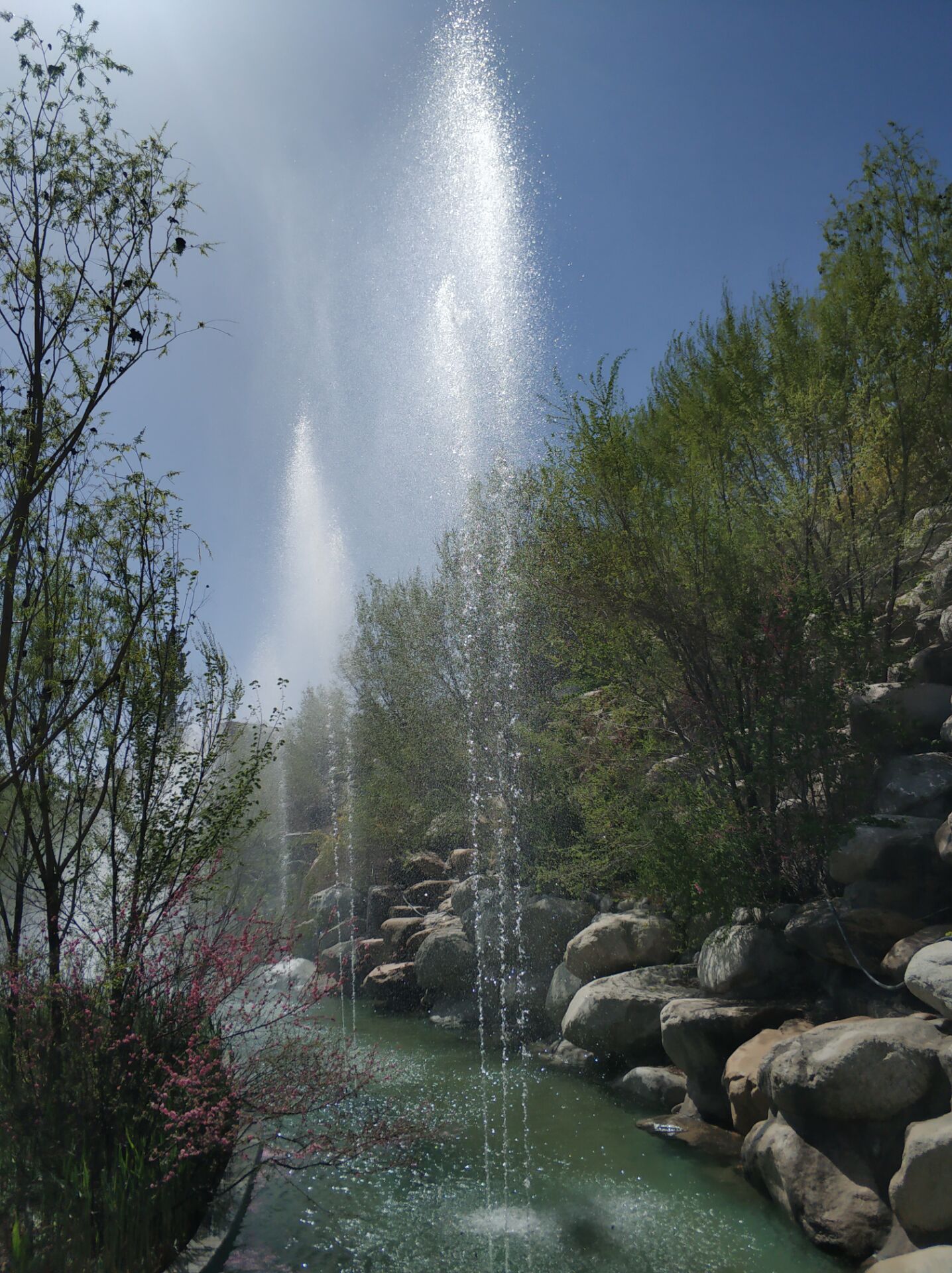 乌鲁木齐居然有这么漂亮的地方,乌鲁木齐周边森林公园在哪里