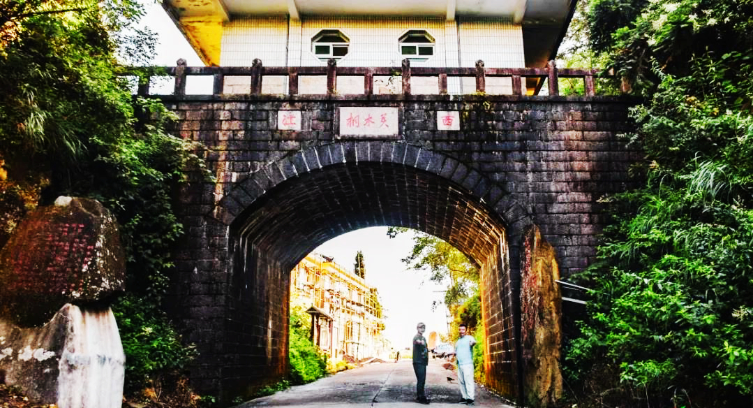 江西武陵红茶,江西最好的红茶