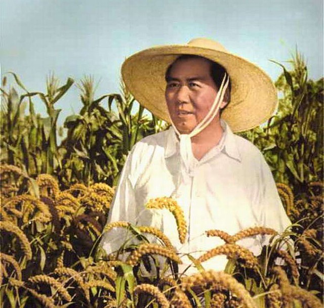 毛主席看到与母亲的合影，激动地用土话问道：咯是从哪里拱出来的