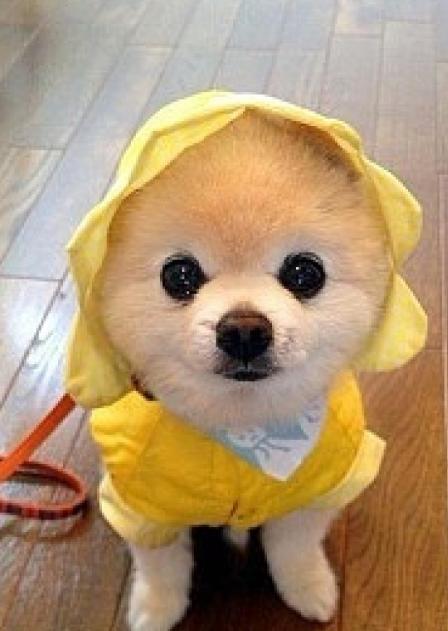 letsgo带你去兜风,letsgo旅行视频