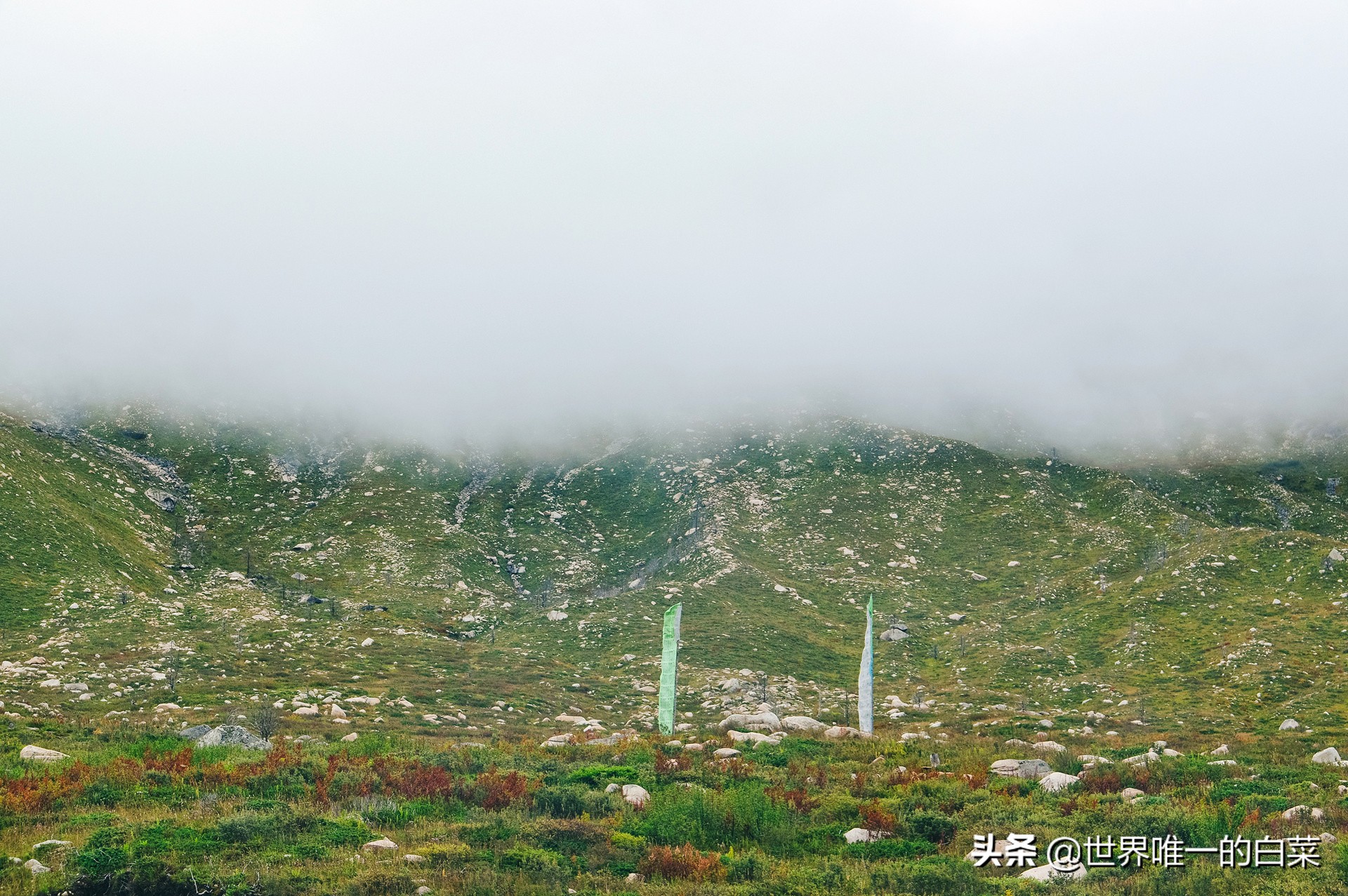 康定情歌川西旅游,318川西康定木格措