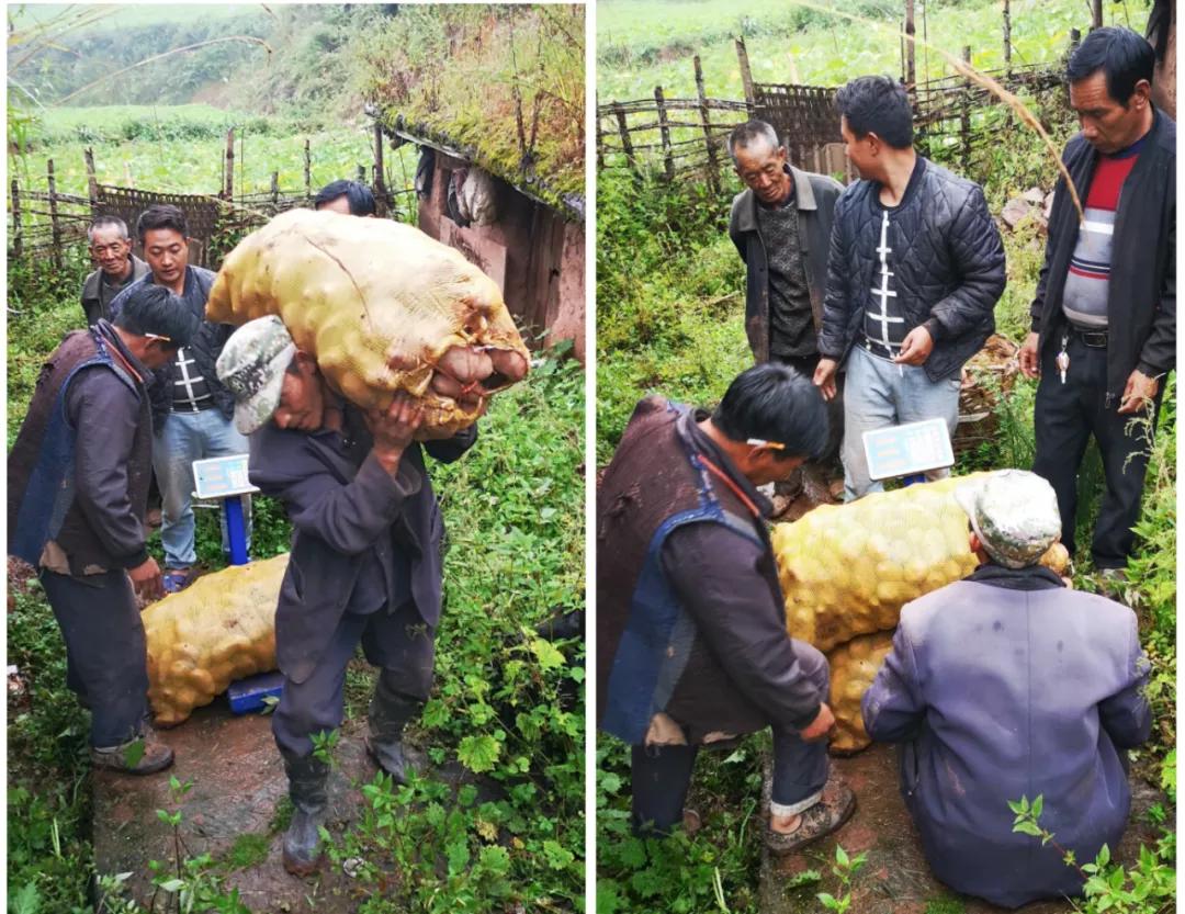 天航人爱吃土豆的背后，源于一个温暖的故事