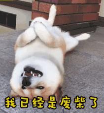 奥数要不要学,奥数要不要学巧算