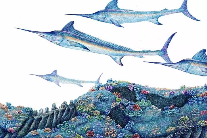 小央美钢笔画视频,极品五大钢笔画简直美爆