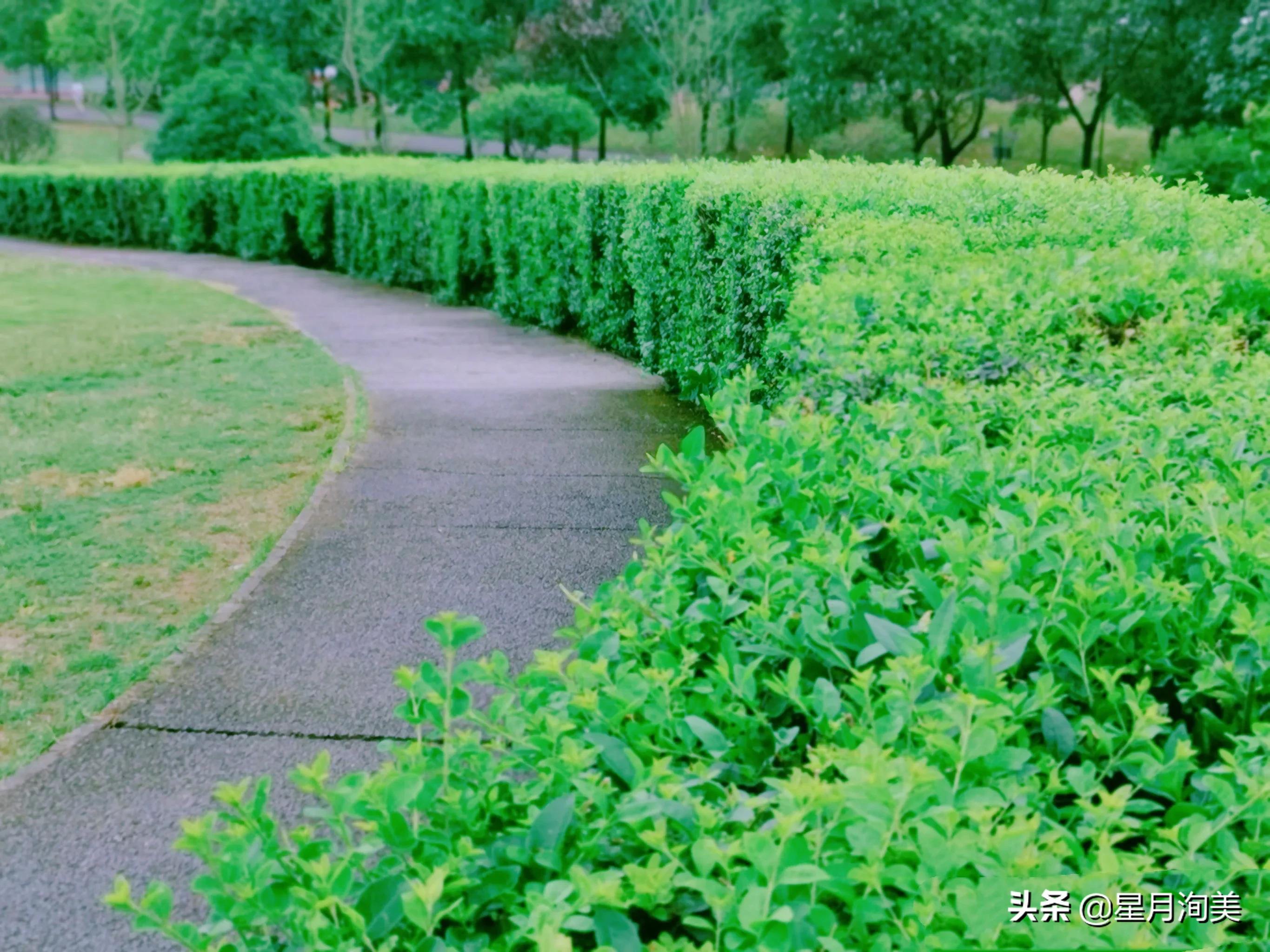 成都周边小众景点一日游,成都又一打卡网红地