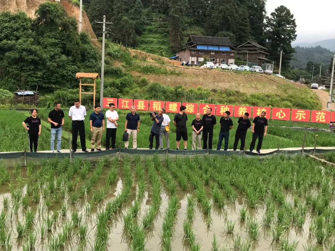 广西水产养殖技术推广平台,生态渔业新模式