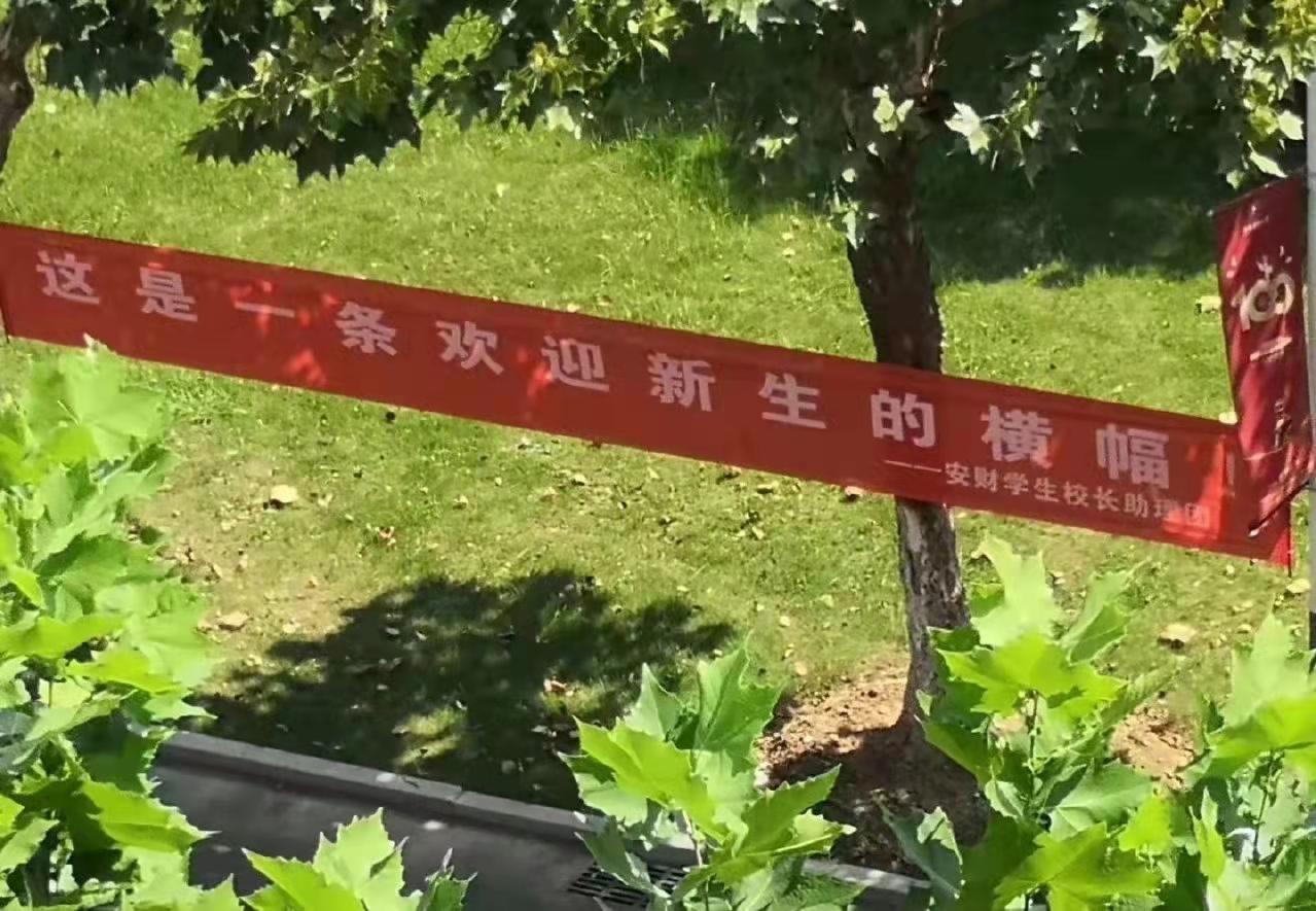又是一年开学季,安徽财经大学迎新标语走红,网友笑出“鹅叫”