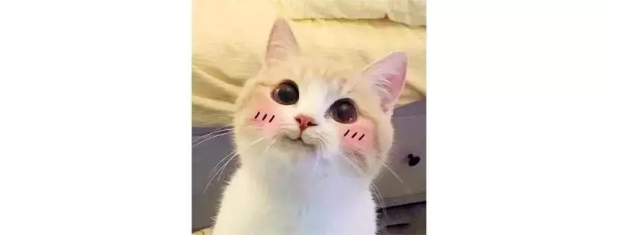 win10家庭版和专业版哪个好,win10有没有好用的小技巧