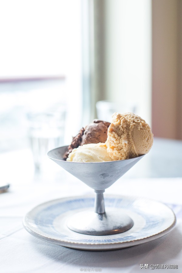 皇家加勒比邮轮量子号新加坡出发,皇家加勒比海洋量子号邮轮之旅