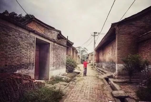 陕西这个县城厉害了,陕西柿子之乡在哪