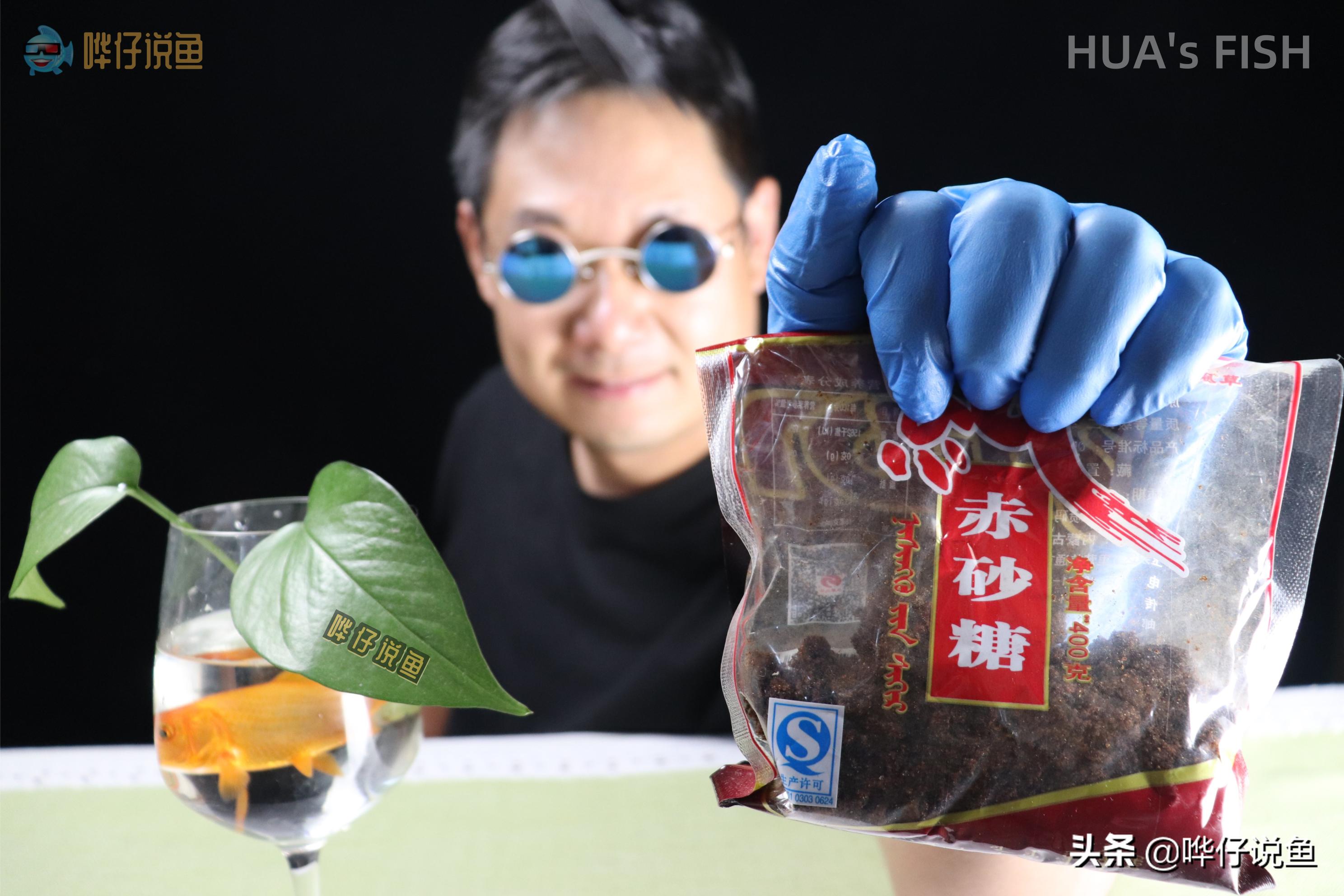 观赏鱼鱼饲料加红糖,可以大蒜水泡鱼粮喂鱼吗