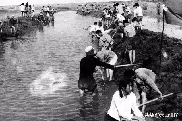 伟大的新疆,伟大的阿勒泰