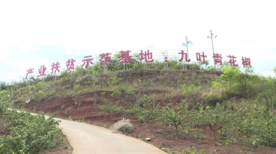 内江东兴有什么可体验的东西,来东兴有什么好吃的