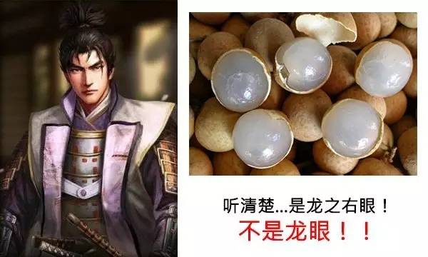 伊达朝宗日本战国,伊达政宗巅峰版图