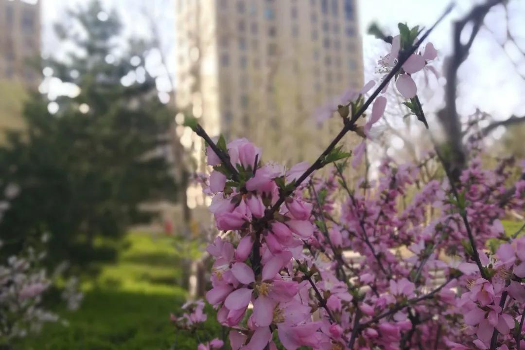 走在春天里简谱,歌曲走在春天里