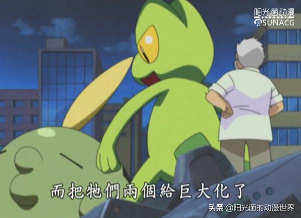 宠物小精灵超进化图片,宠物小精灵超级进化