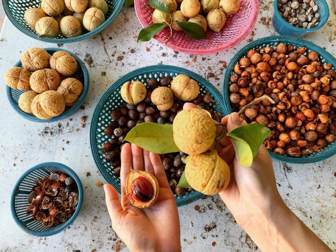 槟城土特产店推荐,槟城有哪些水果特产